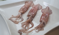 CALAMARES (1)