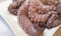 PULPO (1)