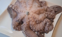 PULPO (2)