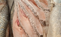RUEDA DE MERO