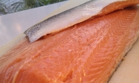 SALMON (4)