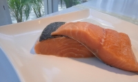 SALMON (5)