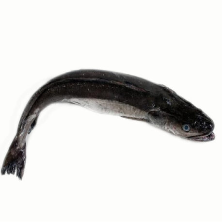 merluza_800_1