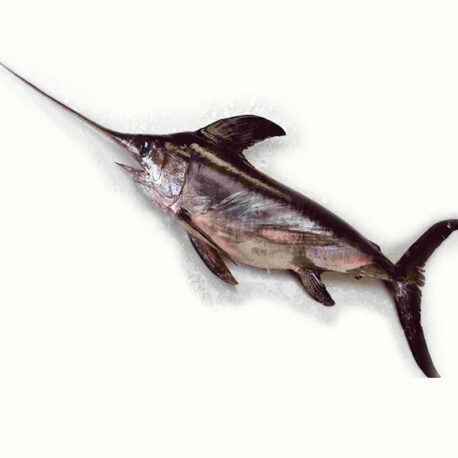 pezespada_800_2
