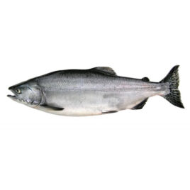 SALMÓN