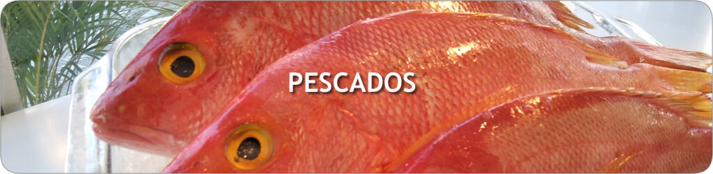 banner_peq_pescados