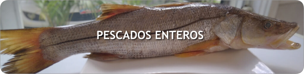 banner_peq_pescados_enteros